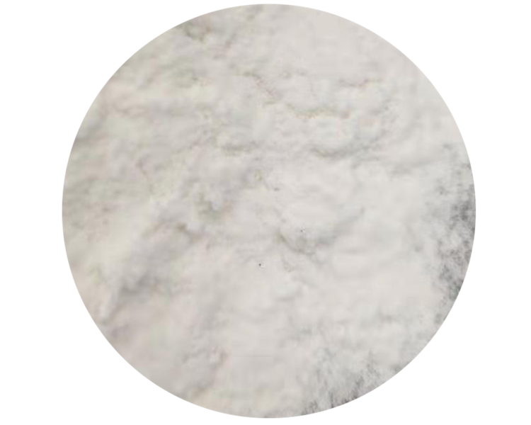 Polyanionic Cellulose 